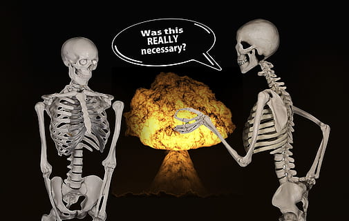 two gray skeletons with was this really necessary text overlay HD wallpaper