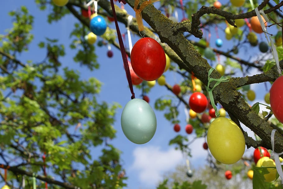 red and teal fruit, easter, easter eggs, color, colorful, tree HD wallpaper