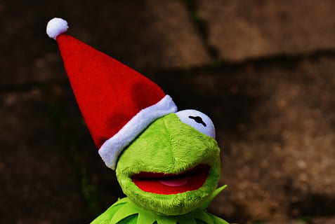Hd Wallpaper Kermit Frog Christmas Santa Hat Cute Funny Christmas Time Wallpaper Flare