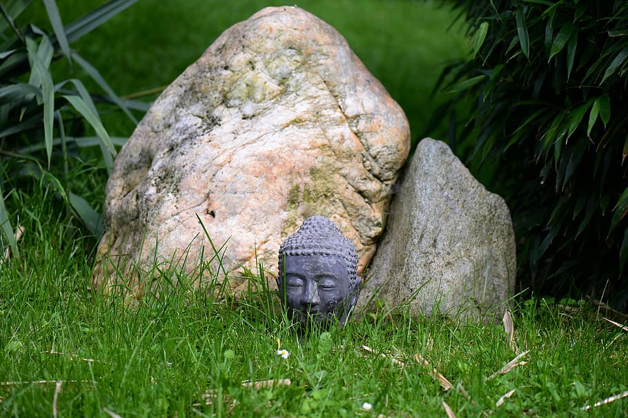 head, buddha, stone, hidden, garden, grass, representation HD wallpaper