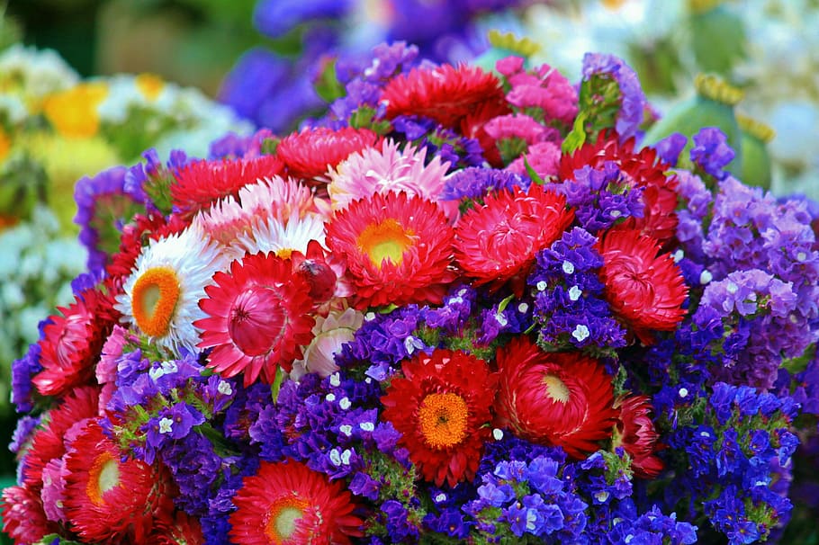 Hd Wallpaper Red Gerbera Bouquet Pink Blue Purple Flowers Bouquet Of Flowers Wallpaper Flare