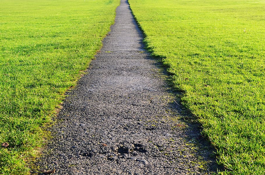 photo of pathway between grass lawn, black soil, road, green HD wallpaper