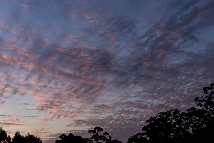 sunset, sky, clouds, pink, blue, pattern, criss-cross, pretty HD wallpaper