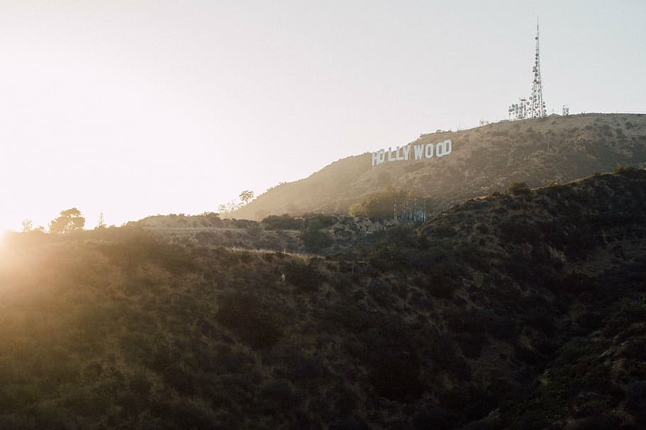 california, daylight, hollywood, los angeles, mountain, sign, HD wallpaper