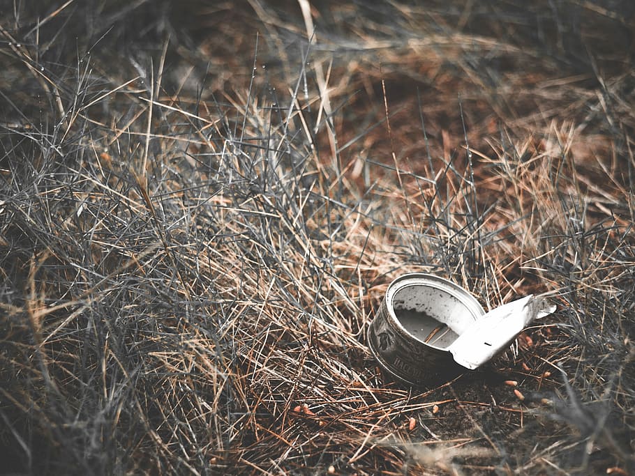 grey can on bush, open tin can on bird nest, grass, discarded HD wallpaper