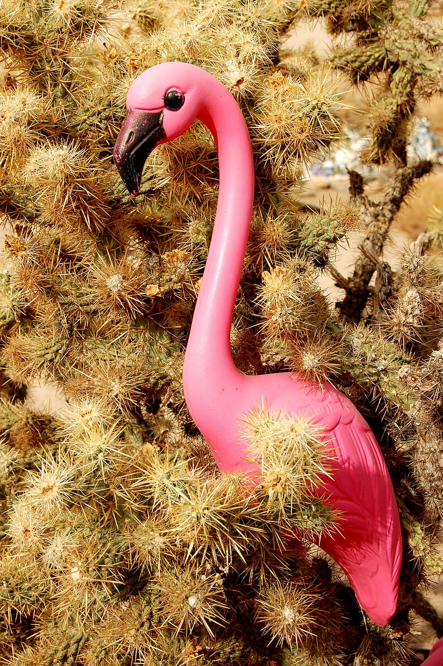 pink plastic flamingo on cactus plant, pink flamingo toy, spikes