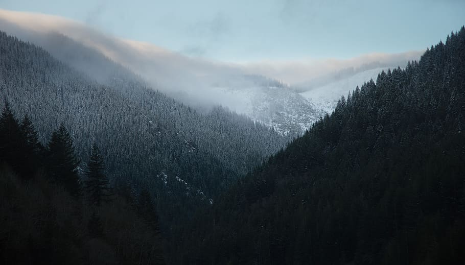 landscape photography of mountains during foggy season, selective photo of black and gray mountains under blue sky at daytime HD wallpaper