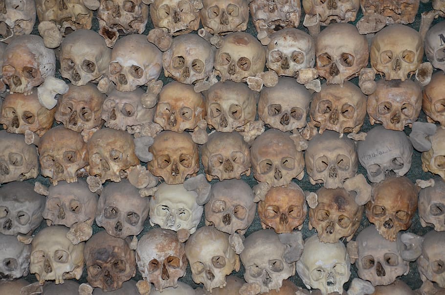 charnel house, skull, bone, skeleton, stans, representation HD wallpaper