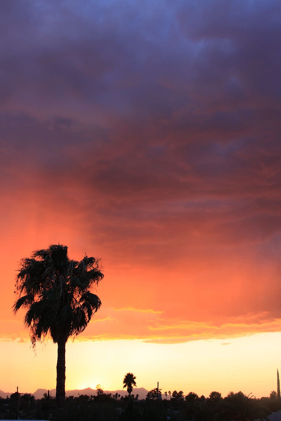 sunset, dusk, nature, dawn, outdoors, silhouette, palm, colorful HD wallpaper