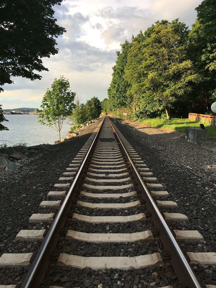 railroad, train, water, perspective, distance, journey, track HD wallpaper