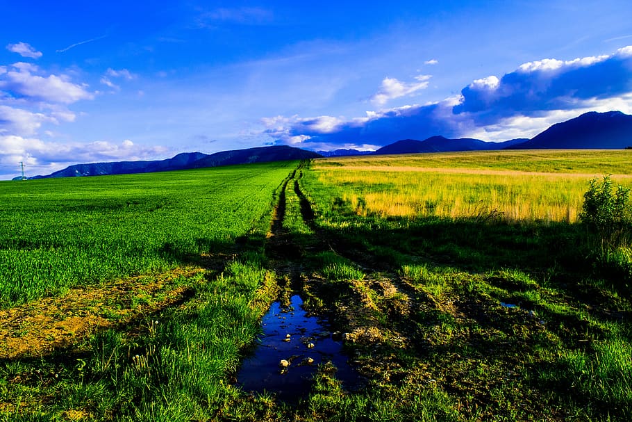 puddle, grass, meadow, mud, field, sky, mountains, hills, path HD wallpaper