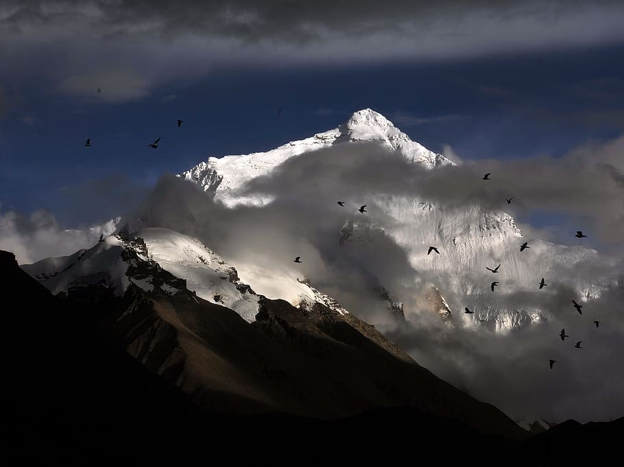 photo of birds flying near snow mountain, snow cover mountain surrounded with clouds HD wallpaper