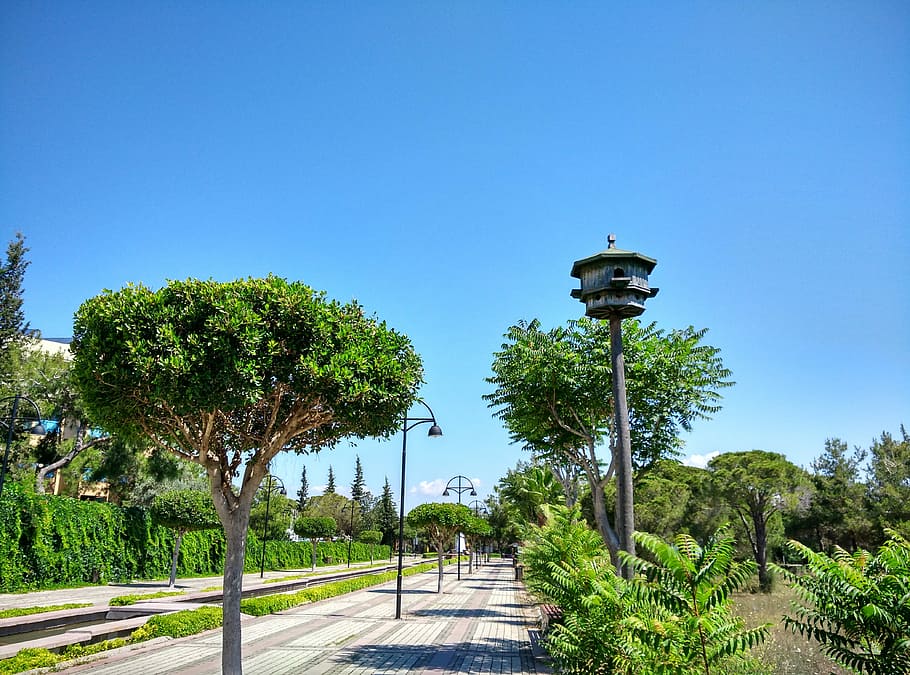 Manavgat, Hotel, Complex, Road, Aviary, hotel complex, trees HD wallpaper