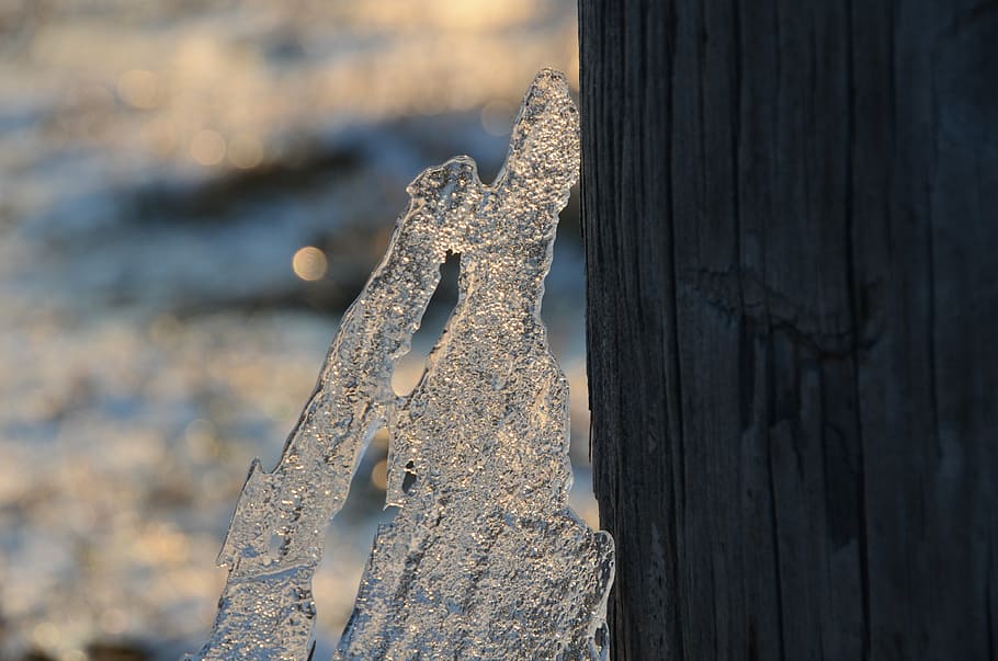 ice, winter, crystal, winter magic, wintry, close-up, ze, nature HD wallpaper