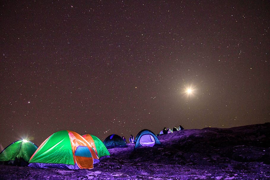 camping, photo of dome tent during night time, field, dark, star - space HD wallpaper
