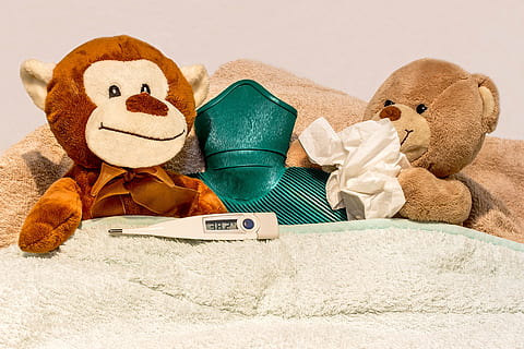 photo of monkey and bear plush toy on bed, cold, catch a cold HD wallpaper