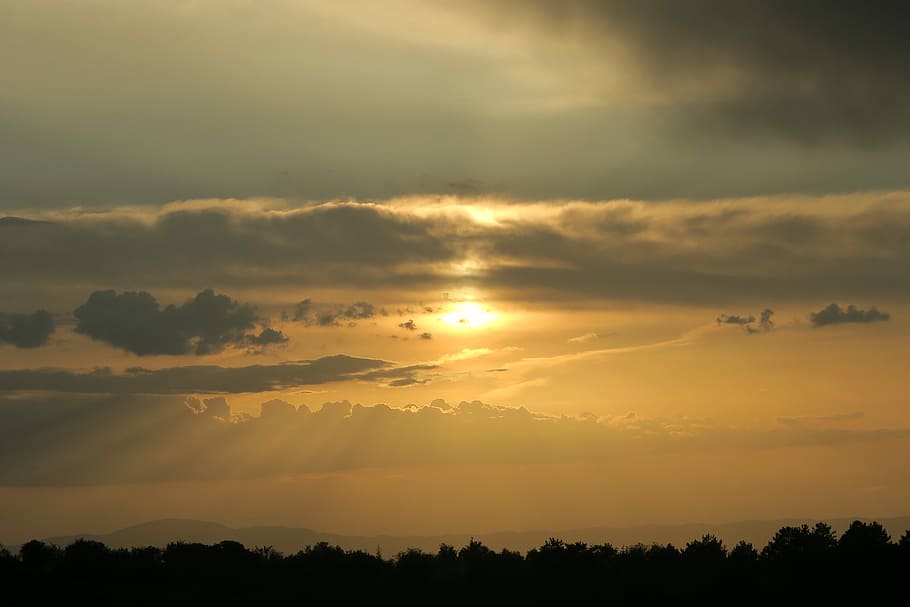 silhouette of trees under golden hour, sunset, solar, cloud HD wallpaper