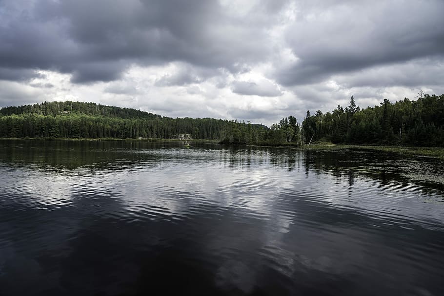 Shoreline, lake, and clouds in Algonquin Provincial Park, Ontario HD wallpaper