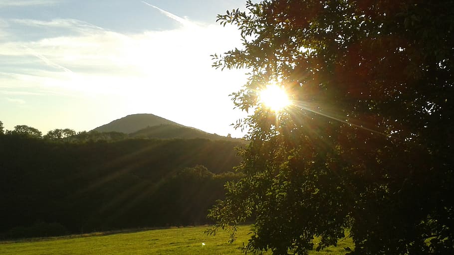 sun, pasture, landscape, forest, park, sunrise, sunset, trees HD wallpaper