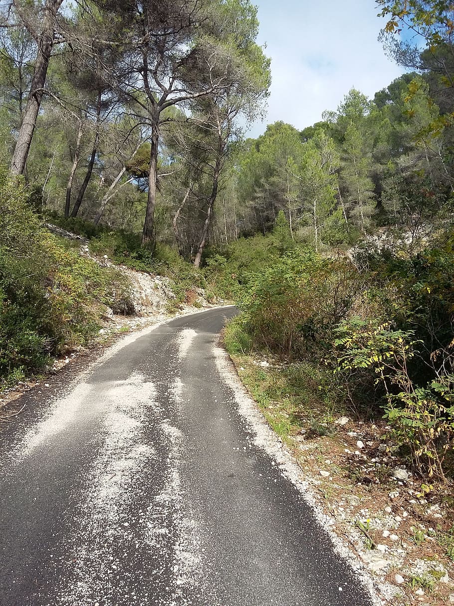 path, fall, ceyreste, la ciotat, paca, provence-alpes-côte-d'azur HD wallpaper