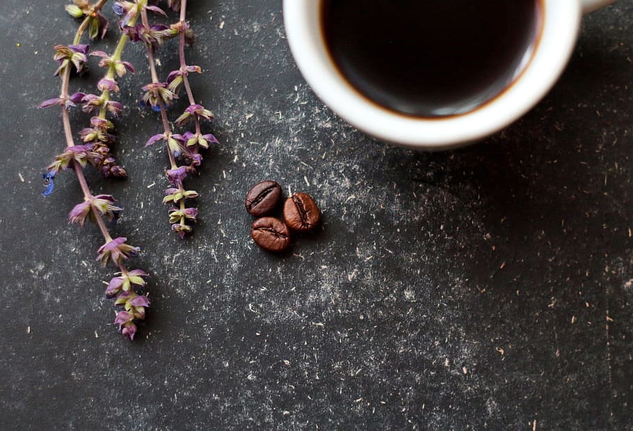three brown coffee beans beside white ceramic mug, flowers HD wallpaper