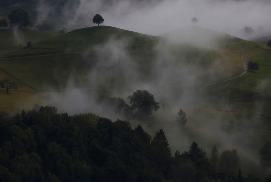 high angle of mountain range covered with mists, green trees and white mist HD wallpaper