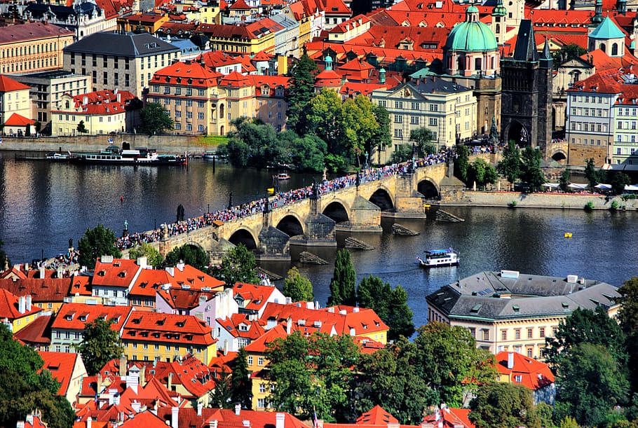 areal view photography of red concrete houses, prague, bridge HD wallpaper