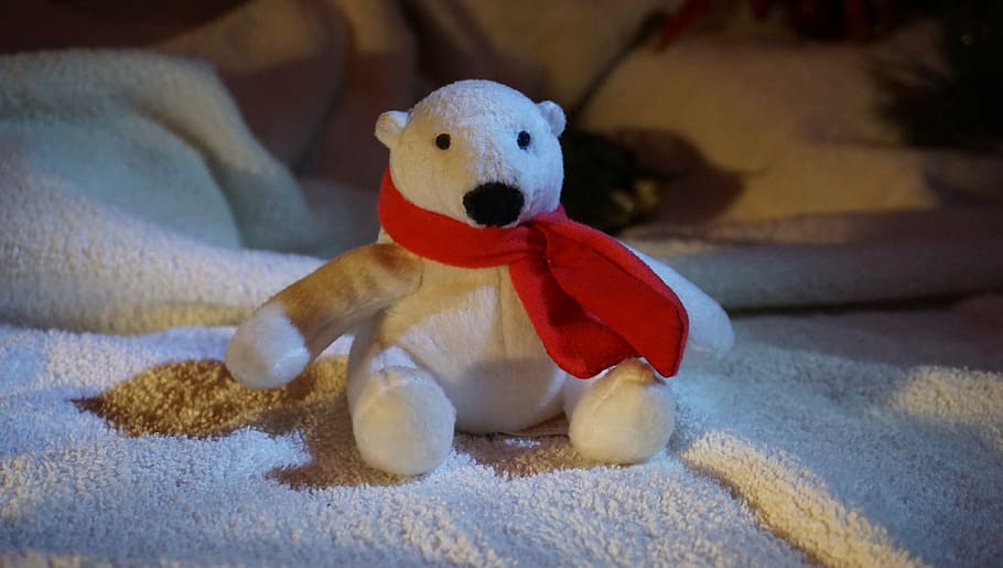 white bear, teddy, christmas, decoration, alegre, toy, stuffed toy HD wallpaper