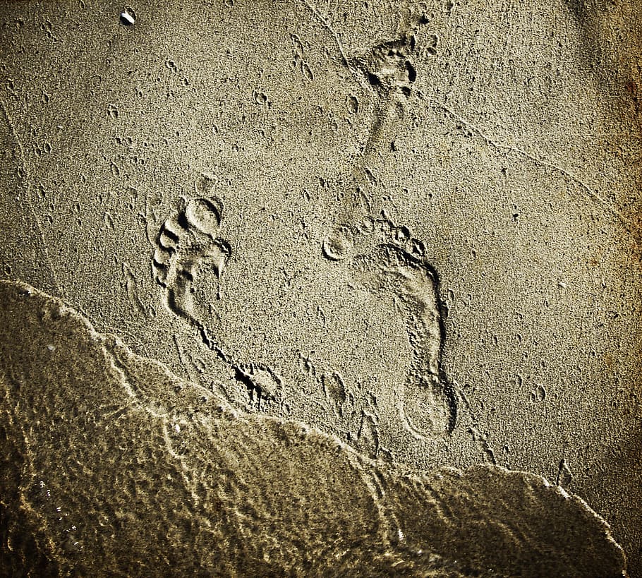 sand, beach, footprints, sea, water, land, no people, high angle view HD wallpaper