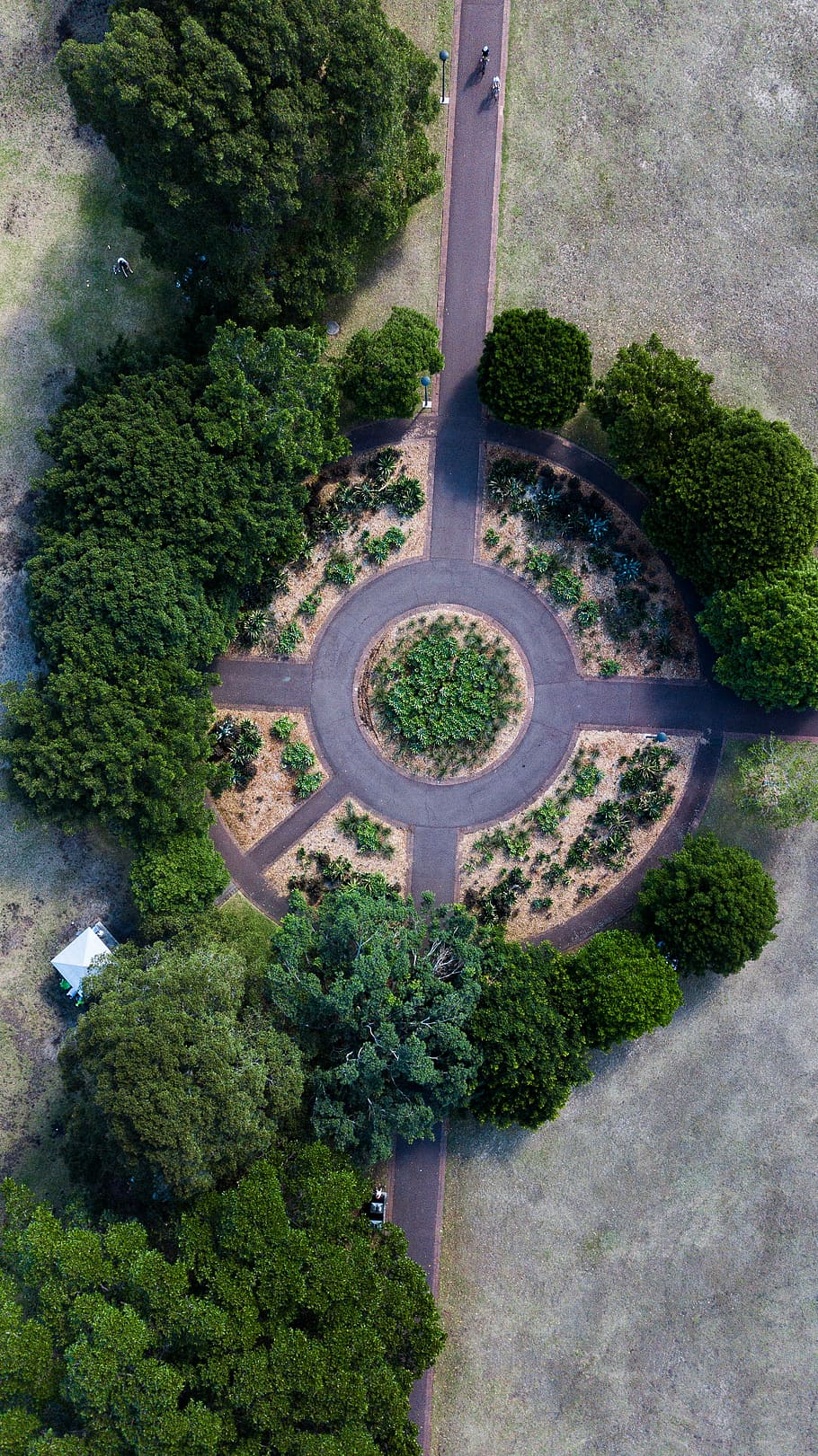 aerial photography of round park surrounded with trees during daytime, aerial photography of round road surrounded by trees HD wallpaper