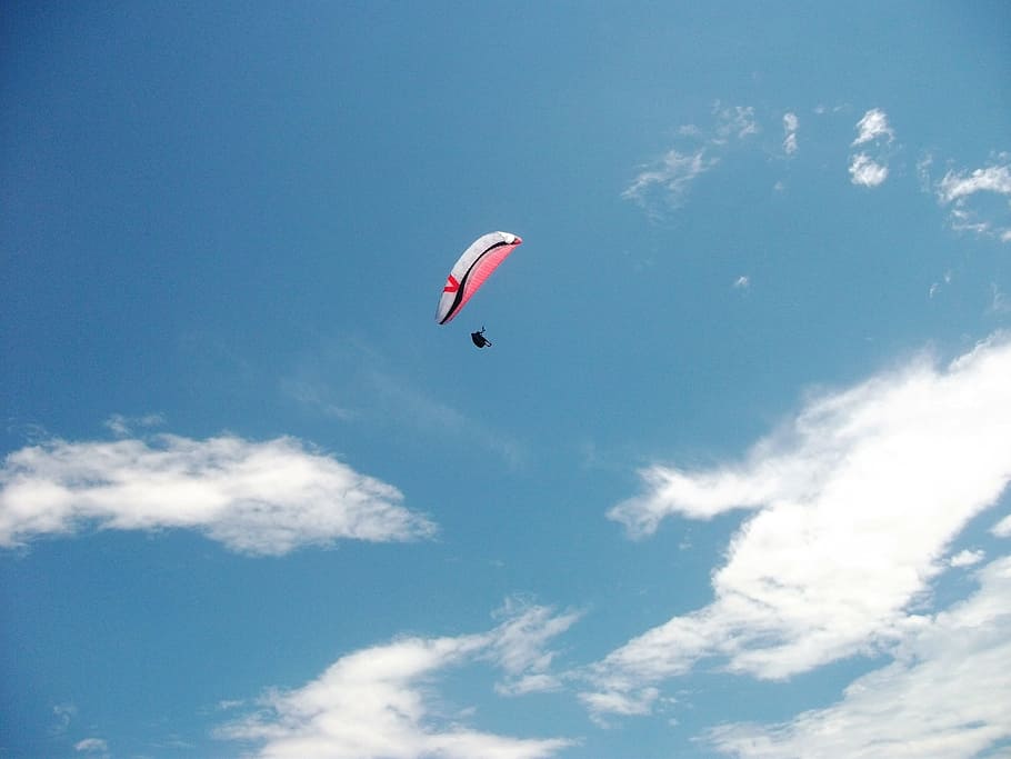 Paragliding, Flying, Soaring, Sky, Sport, flight, recreation HD wallpaper