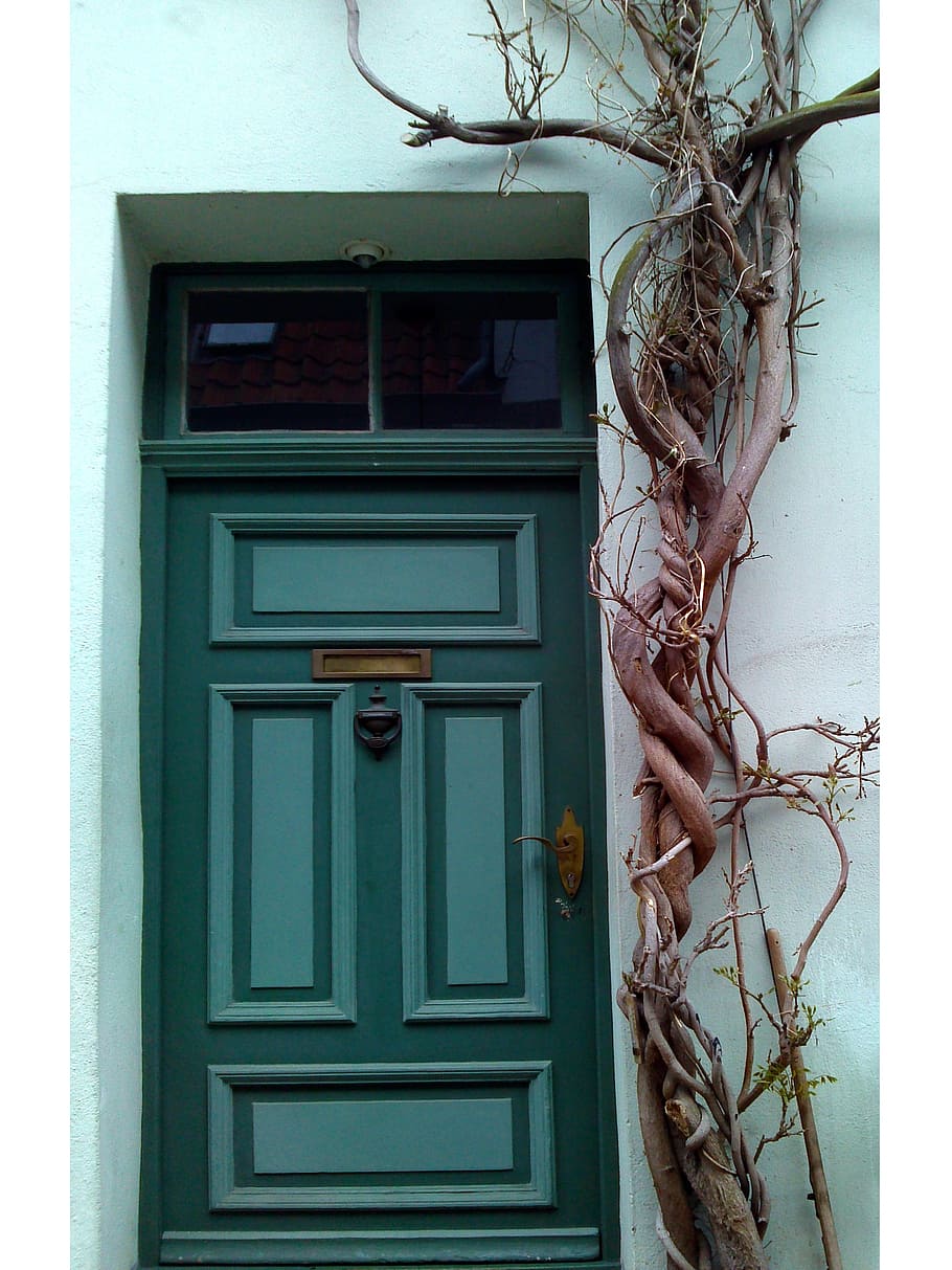 door, tree, home, front door, lübeck, germany, entrance, no people HD wallpaper