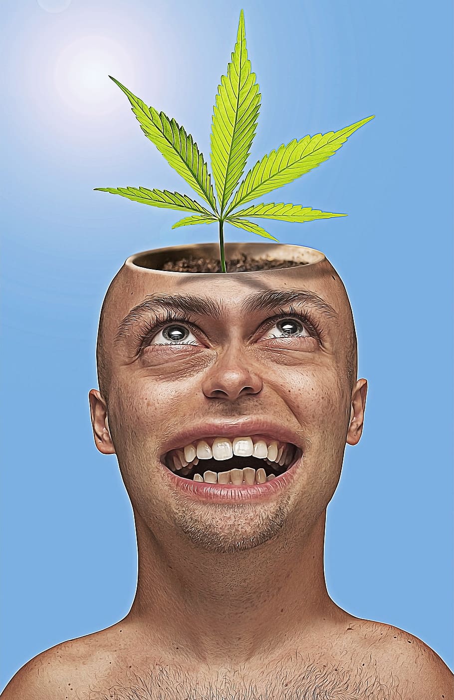 HD wallpaper: green cannabis plant on man's head, caricature, cartoon,  funny | Wallpaper Flare