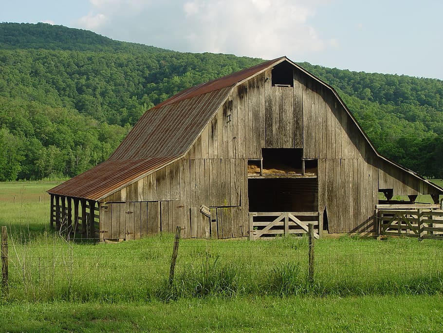brown wooden barn near trees, old, abandoned, rustic, farm HD wallpaper