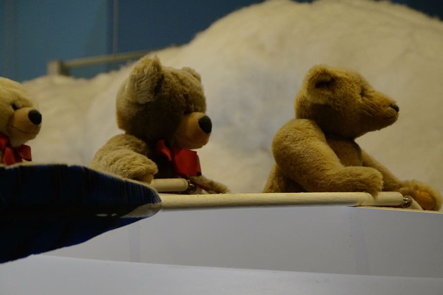 teddy, teddies, bear, boot, rowing, decoration, teddy bear HD wallpaper