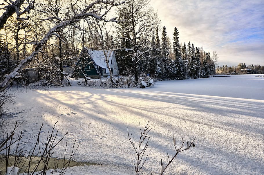 Landscape, Winter, Snow, Ice, Trees, nature, frozen lake, cold temperature HD wallpaper