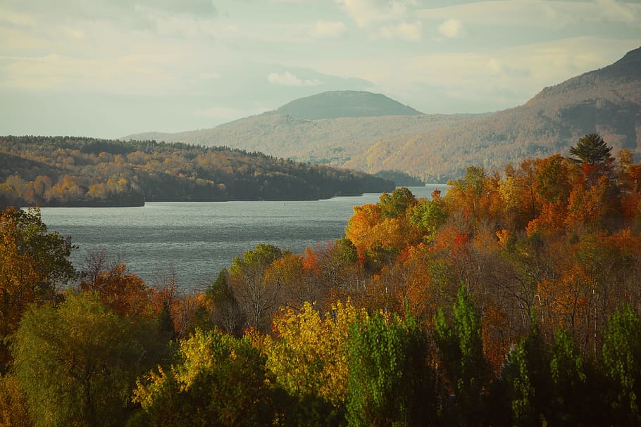 landscape, nature, forest, lake, fall, HD wallpaper, river, scenery HD wallpaper
