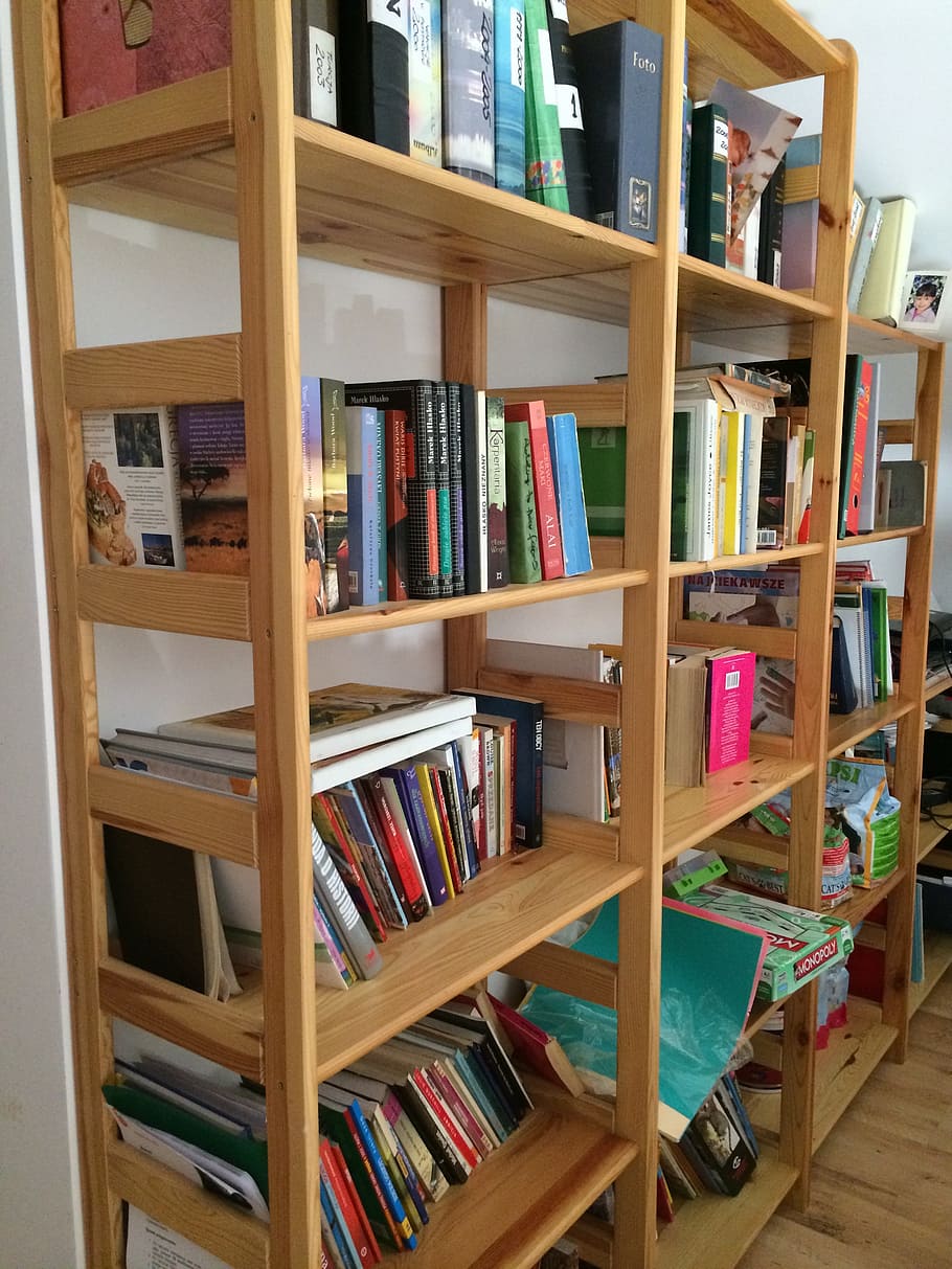 book, library, house, education, books in the library, shelf HD wallpaper