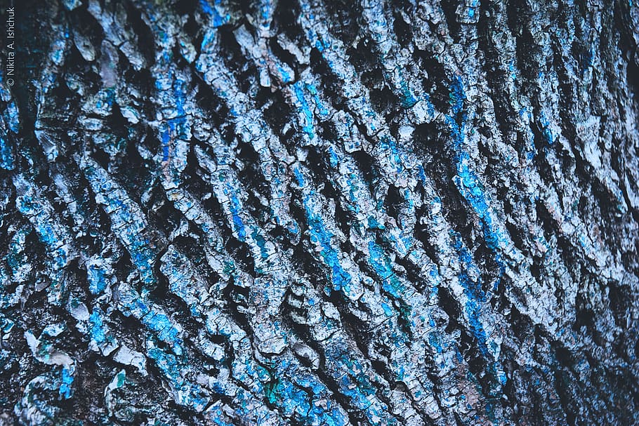 Closeup shot of tree bark details, textures, abstract, wood, backgrounds HD wallpaper