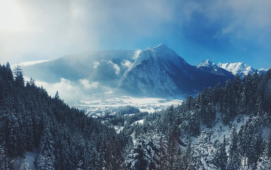 snow-capped mountain and pine tree forest, Alps mountain, cloud HD wallpaper