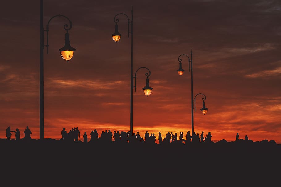 group of people at sunset, silhouette of people during orange sunset HD wallpaper