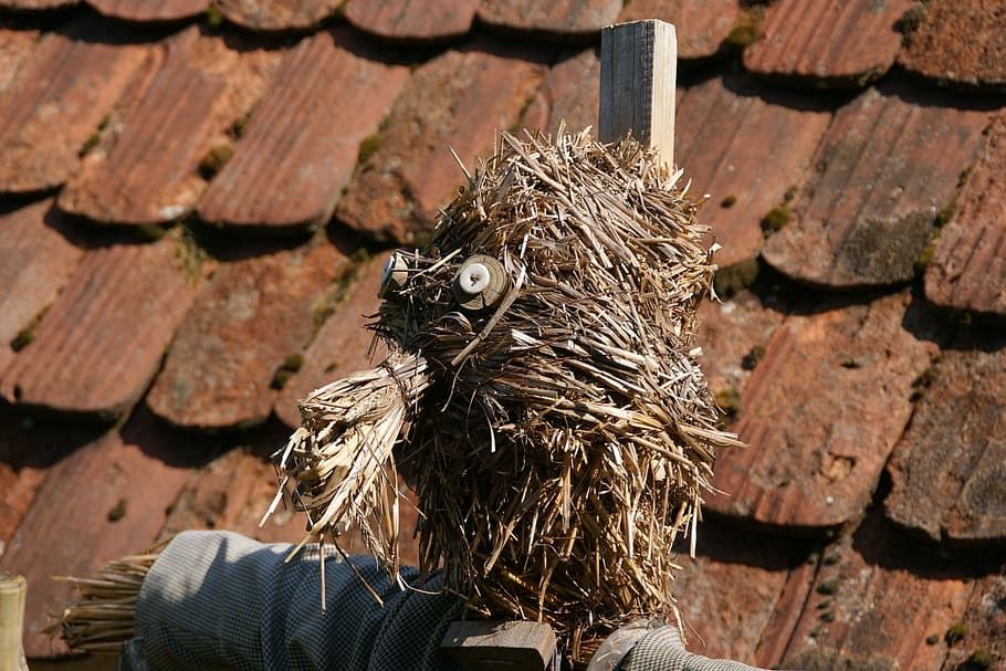 Straw, Scarecrow, Head, Face, funny, woman of straw, figure HD wallpaper