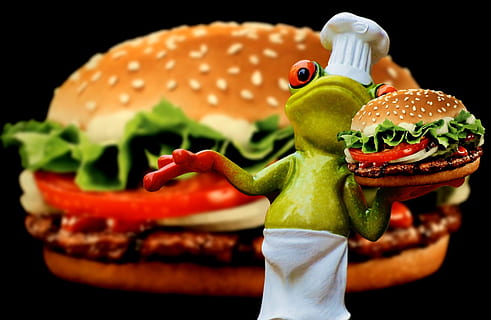 hamburger, cheeseburger, cooking, frog, funny, food, preparation HD wallpaper