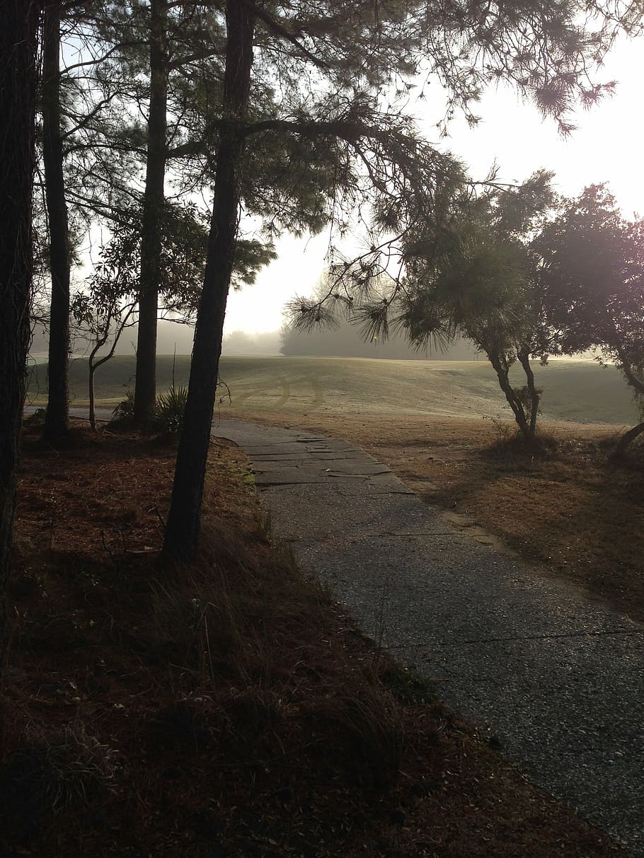 path, golf, green, course, landscape, leisure, grass, activity HD wallpaper