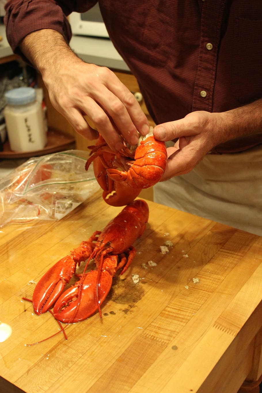 lobster, cooking, seafood, food and drink, freshness, human hand HD wallpaper