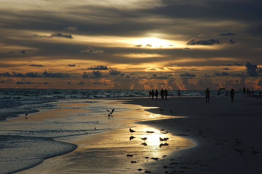 group of people standing on seashore, sunset, siesta key, florida HD wallpaper