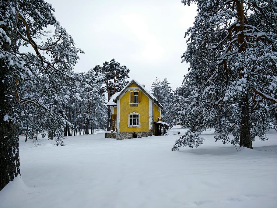Zlatibor, Mountain, Yellow House, trees, snow, winter, serbia, HD wallpaper