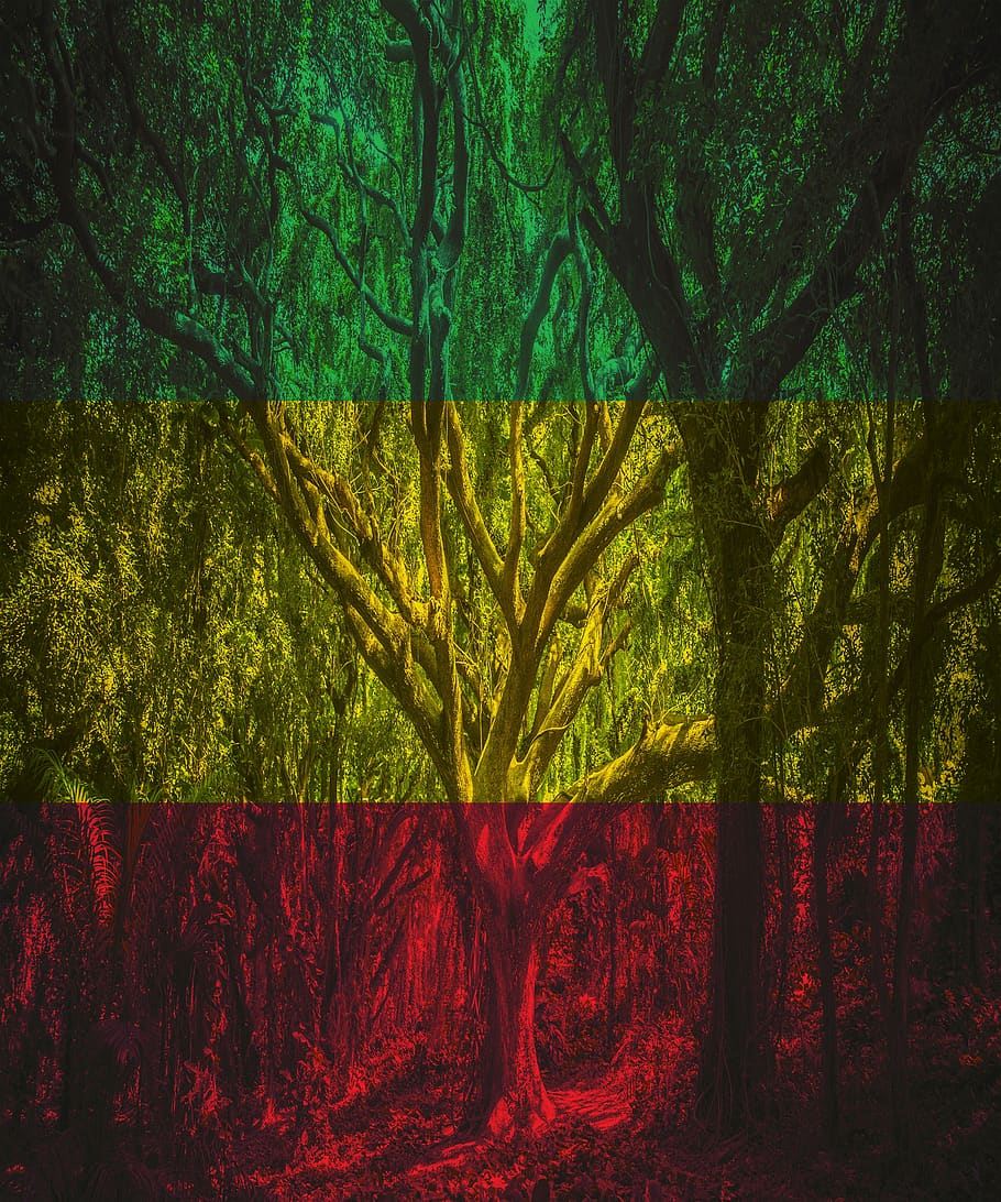 Rasta Wallpapers HD Free APK for Android Download