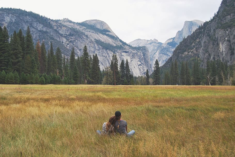 two person sitting on grass field, two person on grass field HD wallpaper