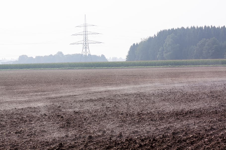 Arable, Field, Plowed, Harrowed, Fog, steamy, autumn, forest HD wallpaper